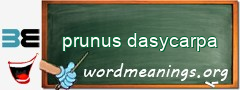 WordMeaning blackboard for prunus dasycarpa